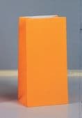 10 Neon Colour Paper Loot/ Party Bags