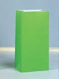 10 Neon Colour Paper Loot/ Party Bags