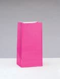 12 Hot Pink Paper Loot/ Party Bags