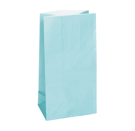 12 Light Blue Paper Loot/ Party Bags