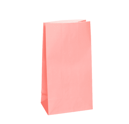 12 Light Pink Paper Loot/ Party Bags