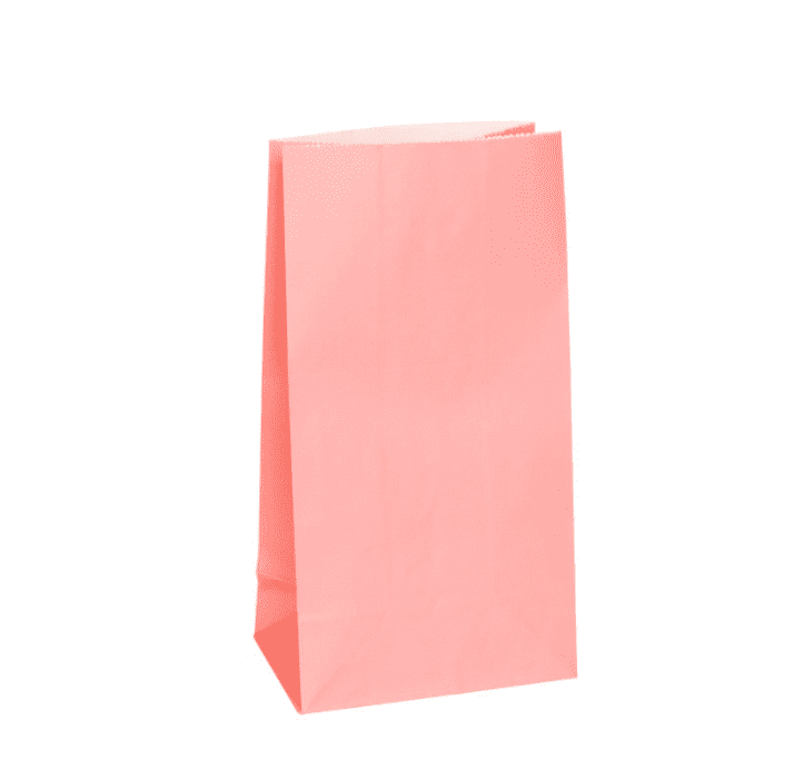 12 Light Pink Paper Loot/ Party Bags