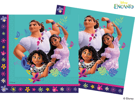 20 Encanto Paper Napkins