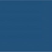 20 Royal Blue Paper Party Luncheon Napkins