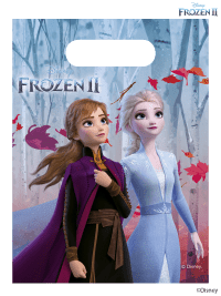 6 Disney Frozen 2 Party Bags