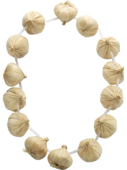 Around The World French Garlic String