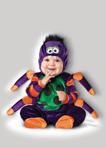 Baby Itsy Bitsy Spider