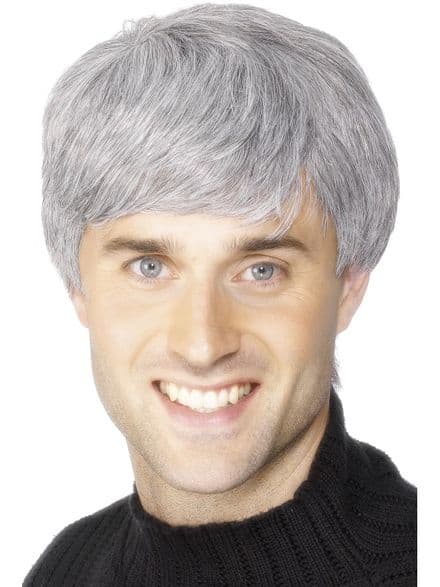 Corporate Male Grey Wig