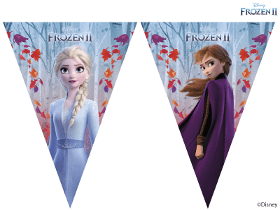Disney Frozen 2 Flag Banner