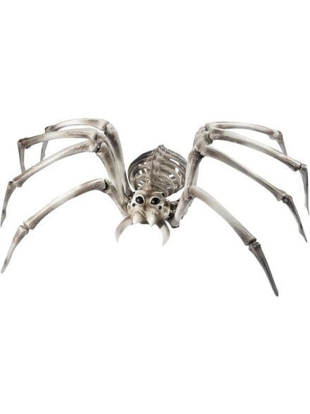 Giant Spider Skeleton Prop