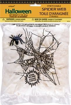 Halloween Spider Web And Spider Decoration