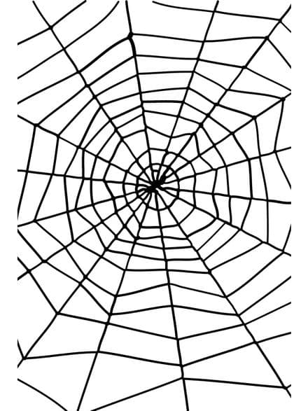 Halloween Spider Web With Black Widow Spider
