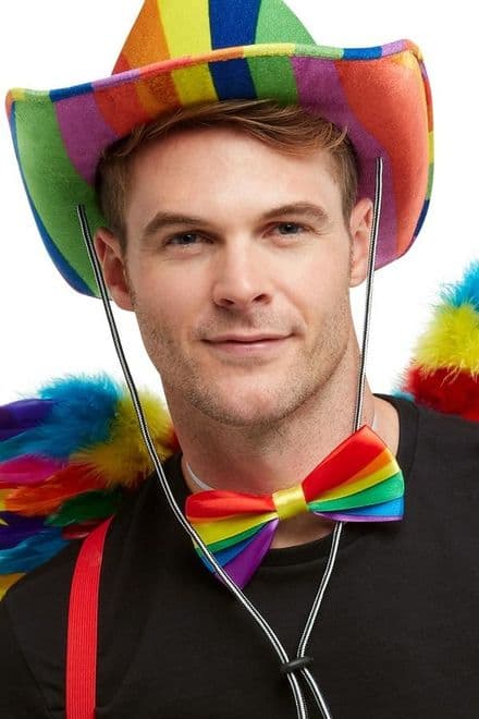 Rainbow Ribbon Bow Tie