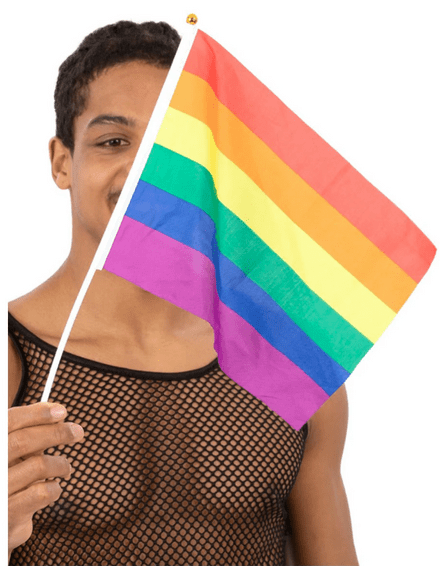 Smiffy Pride Flag Waving Flags 12pk