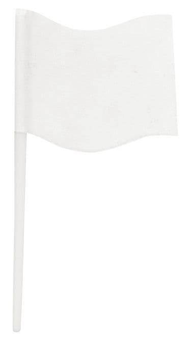 Writable Food Flag Picks