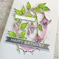 JH1087 Fuchsia A6 Stamp Set