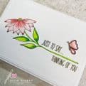 JH1091 Just Daisies A6 Stamp Set