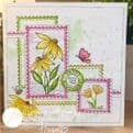 JH1091 Just Daisies A6 Stamp Set