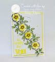 JH1095 Nature’s Garden #1 A6 Stamp Set