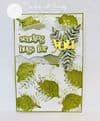 JH1096 Nature’s Garden #2 A6 Stamp Set