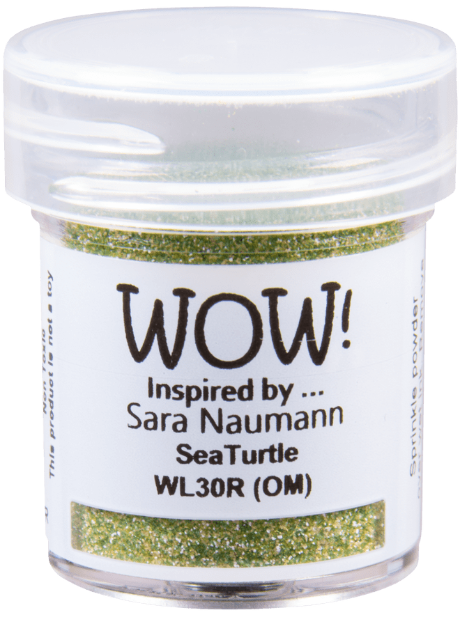 WL30 Sea Turtle*Sara Naumann*