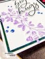 WS422X – Aurora Borealis  Embossing Powder