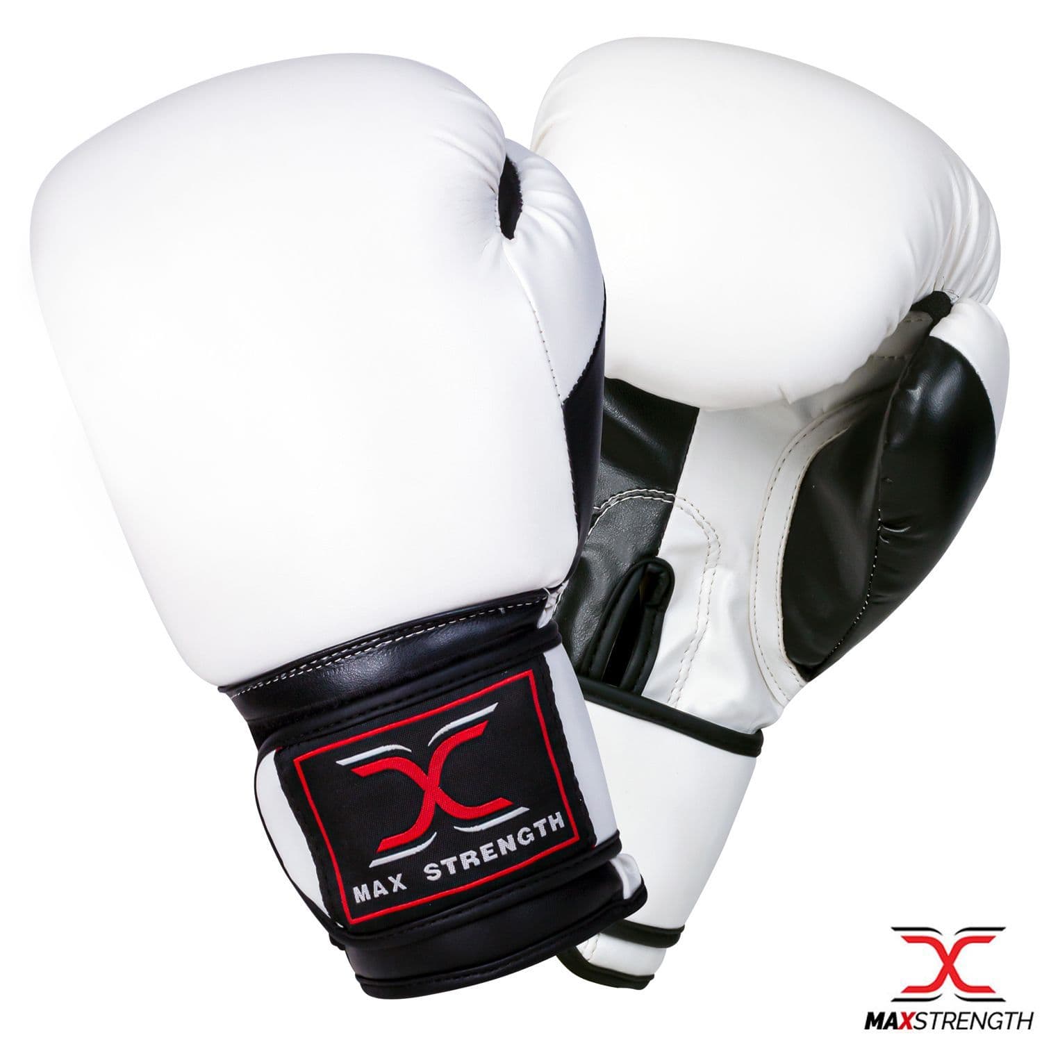 Boxing Gloves BG01 and Focus Pads Set