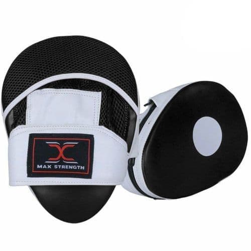 Boxing Gloves BG01 and Focus Pads Set