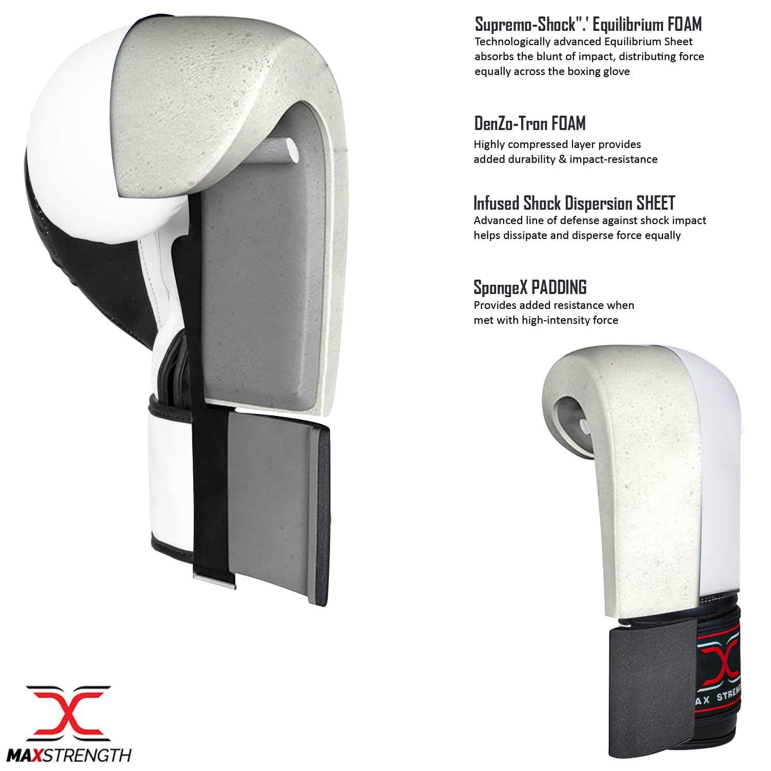 Boxing Gloves BG01 and Focus Pads Set