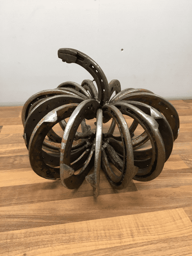 16 Horseshoe Pumpkin, approx 33cm in diameter.