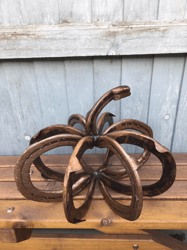 Horseshoe Pumpkin, approx 33cm in diameter.