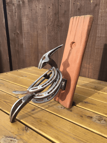 Horseshoe Woodpecker