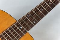 Atkin Kingfisher ASJ w/ LR Baggs VTC and Case