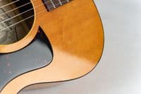 Atkin Kingfisher ASJ w/ LR Baggs VTC and Case