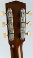 Atkin Kingfisher ASJ w/ LR Baggs VTC and Case