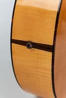 Atkin Kingfisher ASJ w/ LR Baggs VTC and Case