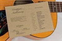 Atkin Kingfisher ASJ w/ LR Baggs VTC and Case