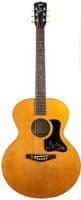 Atkin Kingfisher ASJ w/ LR Baggs VTC and Case