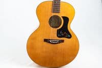 Atkin Kingfisher ASJ w/ LR Baggs VTC and Case