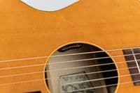Atkin Kingfisher ASJ w/ LR Baggs VTC and Case