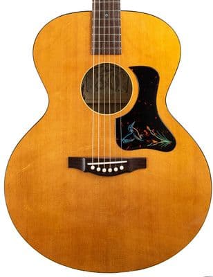 Atkin Kingfisher ASJ w/ LR Baggs VTC and Case