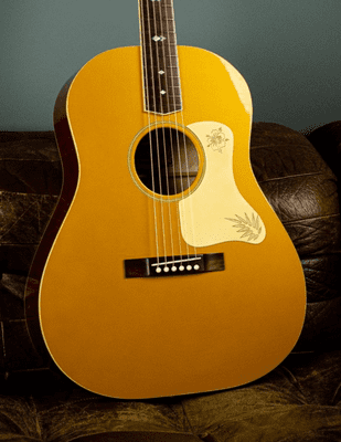 Atkins Hawaiian Master Guitar with Case