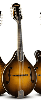 Bourgeois M5 Sunburst