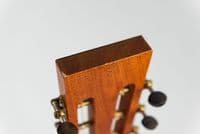Brook Torridge Spruce with English Gum Pre Owned