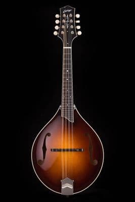Collings MT2