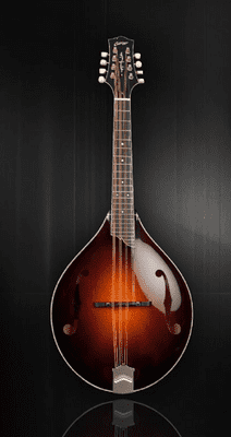 Collings MT2 Mandola