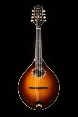 Collings MT2 O