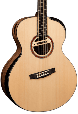 Cort Cut Craft Ltd Edition with Case