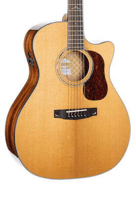 Cort Gold A6 Guitar with Soft Case