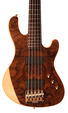 Cort Jeff Berlin Rithimic V Natural